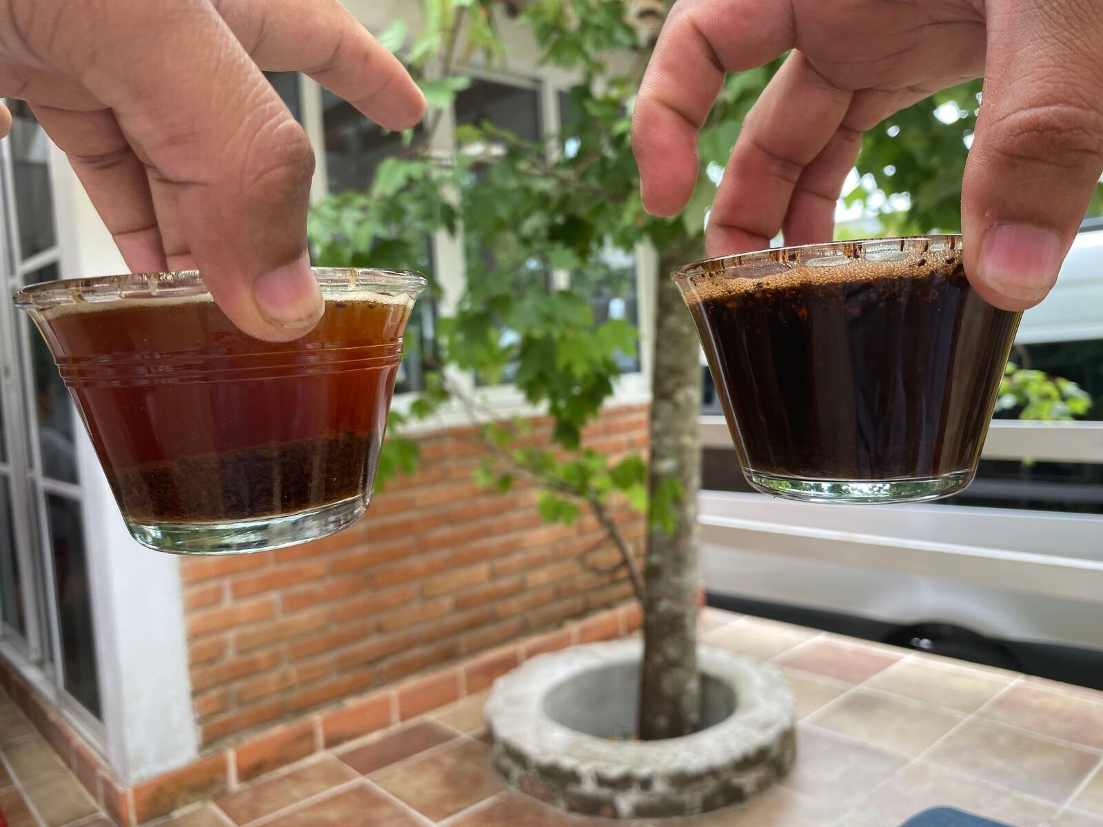 Dos tazas de café en prueba de catación, comparando perfil de tueste antes de aprobar el lote final.
